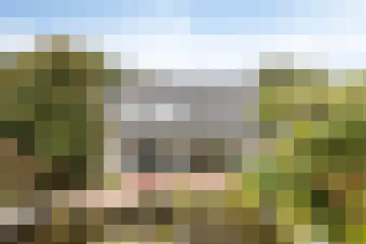 Heezerenbosch 21 Heeze thumbnail 4