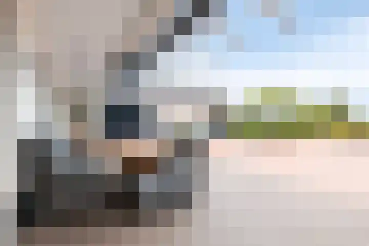 Heezerenbosch 21 Heeze thumbnail 42