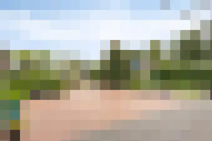 Heezerenbosch 21 Heeze thumbnail 44