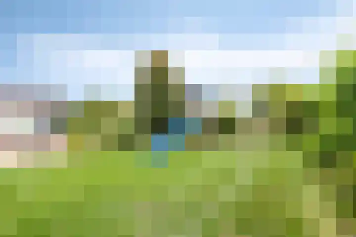 Heezerenbosch 21 Heeze thumbnail 45