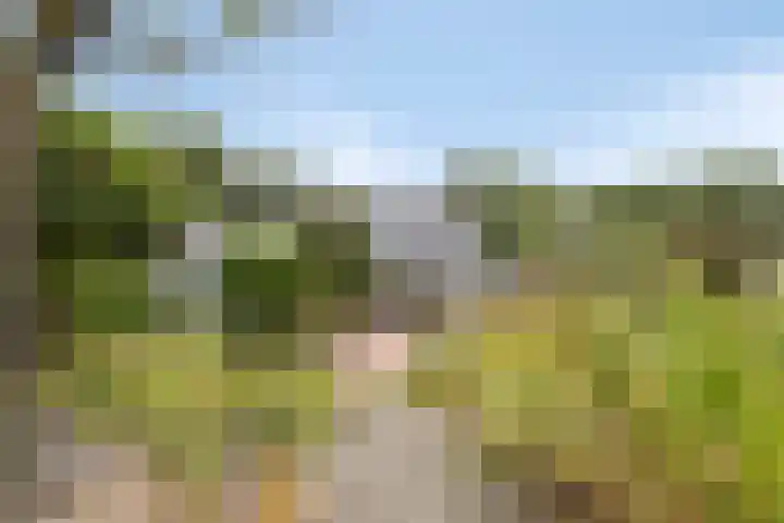 Heezerenbosch 21 Heeze thumbnail 46