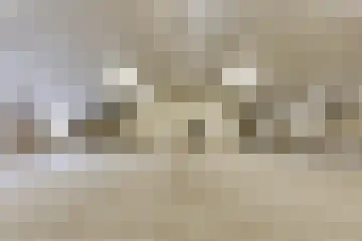 Heezerenbosch 21 Heeze thumbnail 53