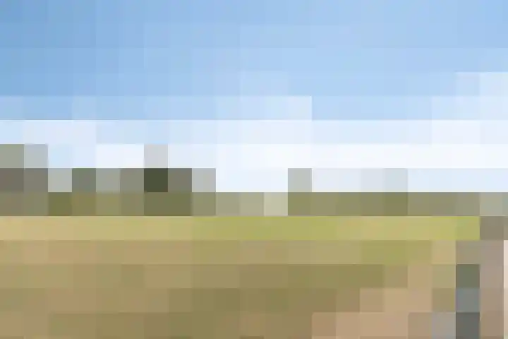 Heezerenbosch 21 Heeze thumbnail 55
