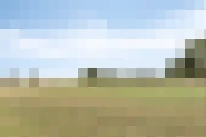 Heezerenbosch 21 Heeze thumbnail 56