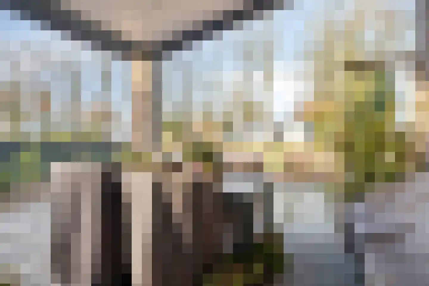 Heezerenbosch 6 R 10 Heeze thumbnail 22