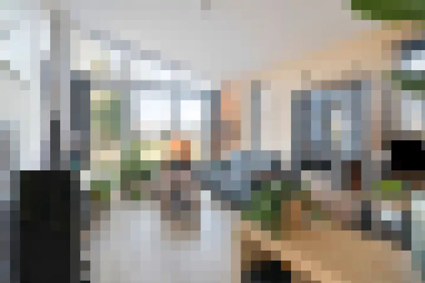 Heezerenbosch 6 R 10 Heeze thumbnail 5