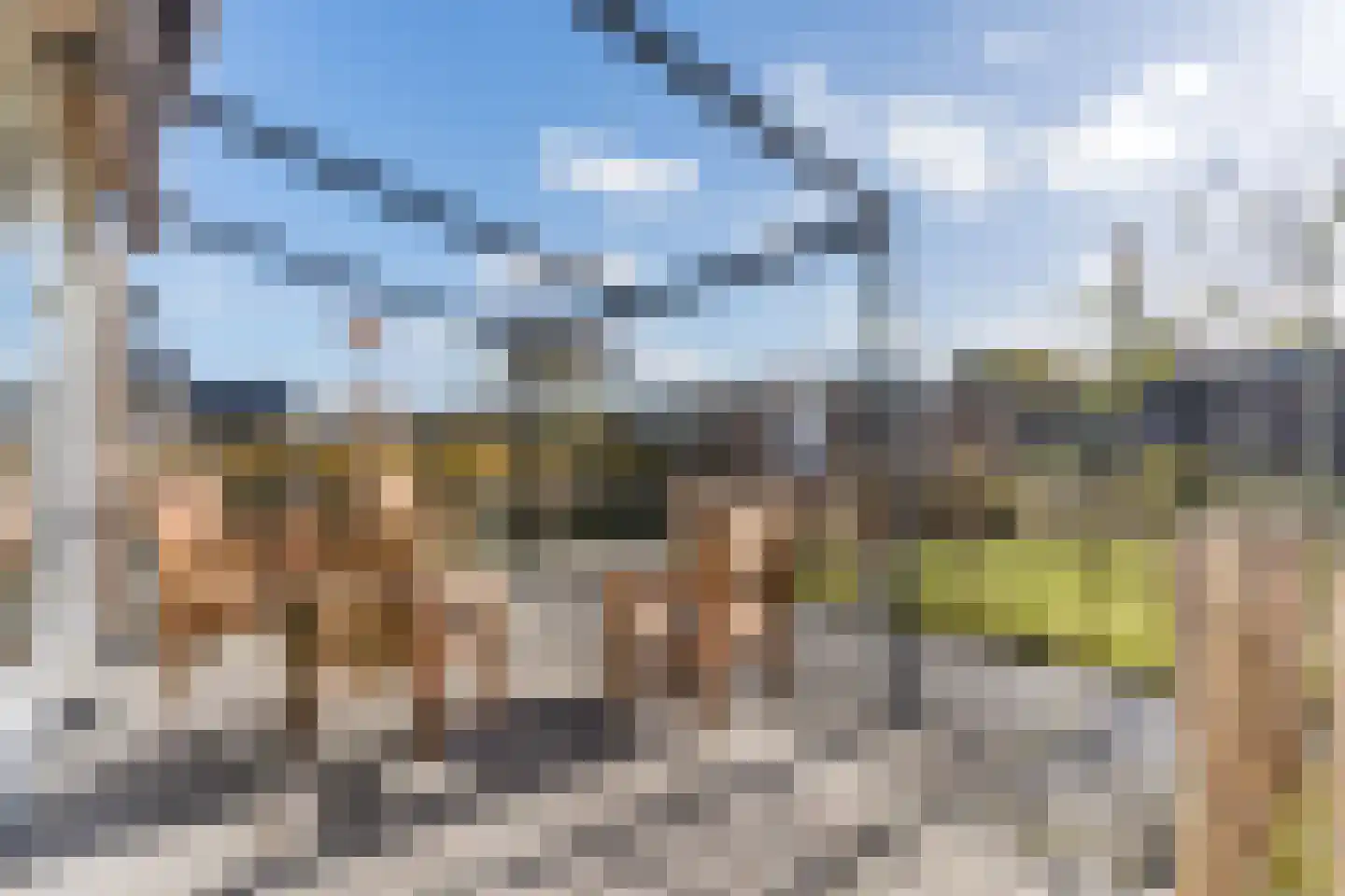 Heezerenbosch 6 R 16 Heeze thumbnail 13