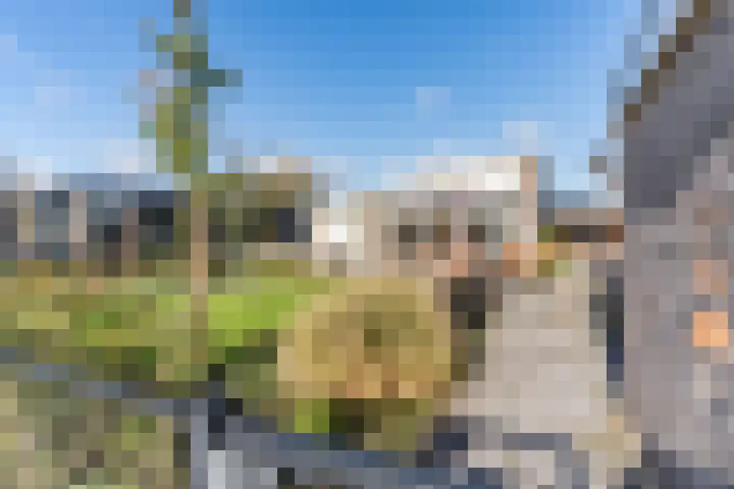 Heezerenbosch 6 R 16 Heeze thumbnail 16