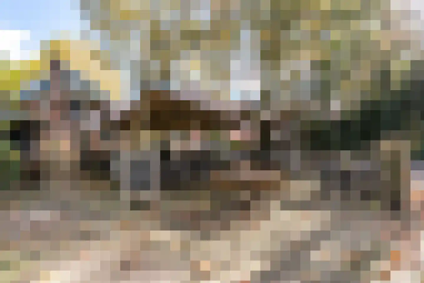 Heezerenbosch 6 R 16 Heeze thumbnail 23