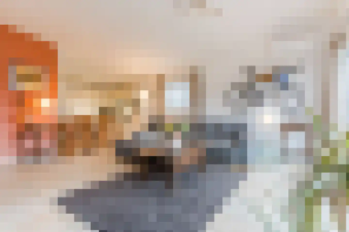 Heezerenbosch 6 R 16 Heeze thumbnail 5