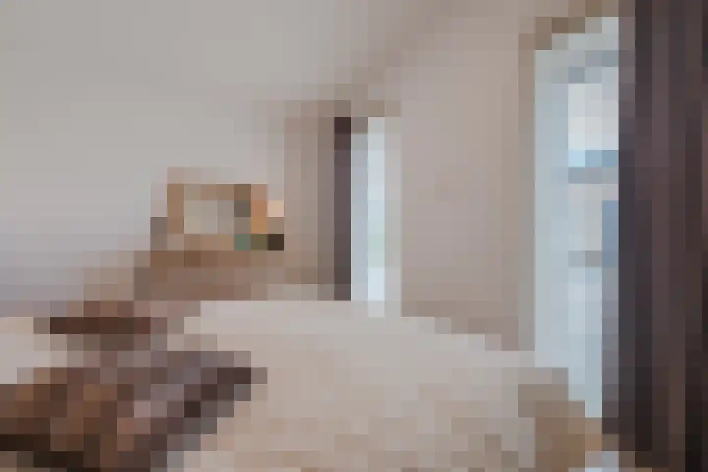 Heezerenbosch 6 R 23 Heeze thumbnail 14