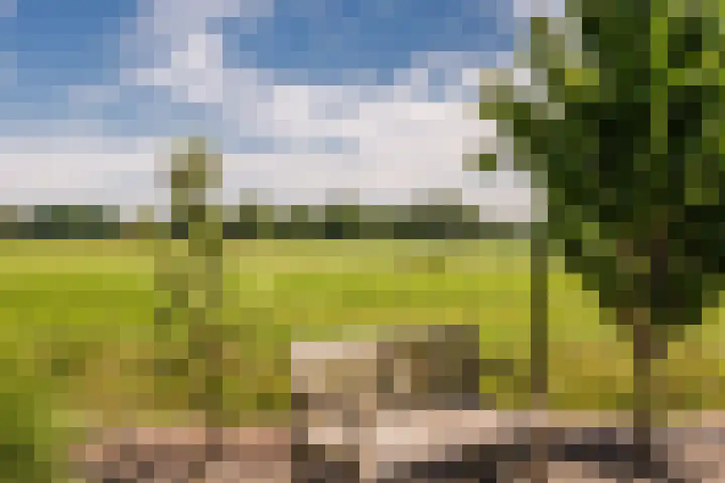 Heezerenbosch 6 R 23 Heeze thumbnail 24