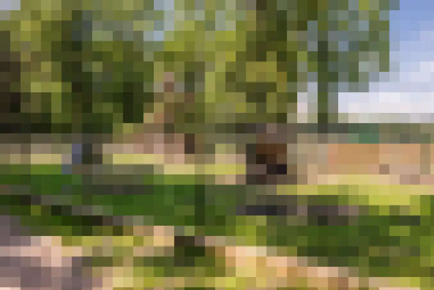 Heezerenbosch 6 R 23 Heeze thumbnail 25