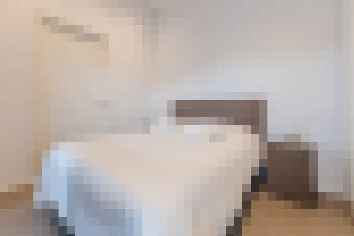 Heezerenbosch 6 R 24 Heeze thumbnail 14