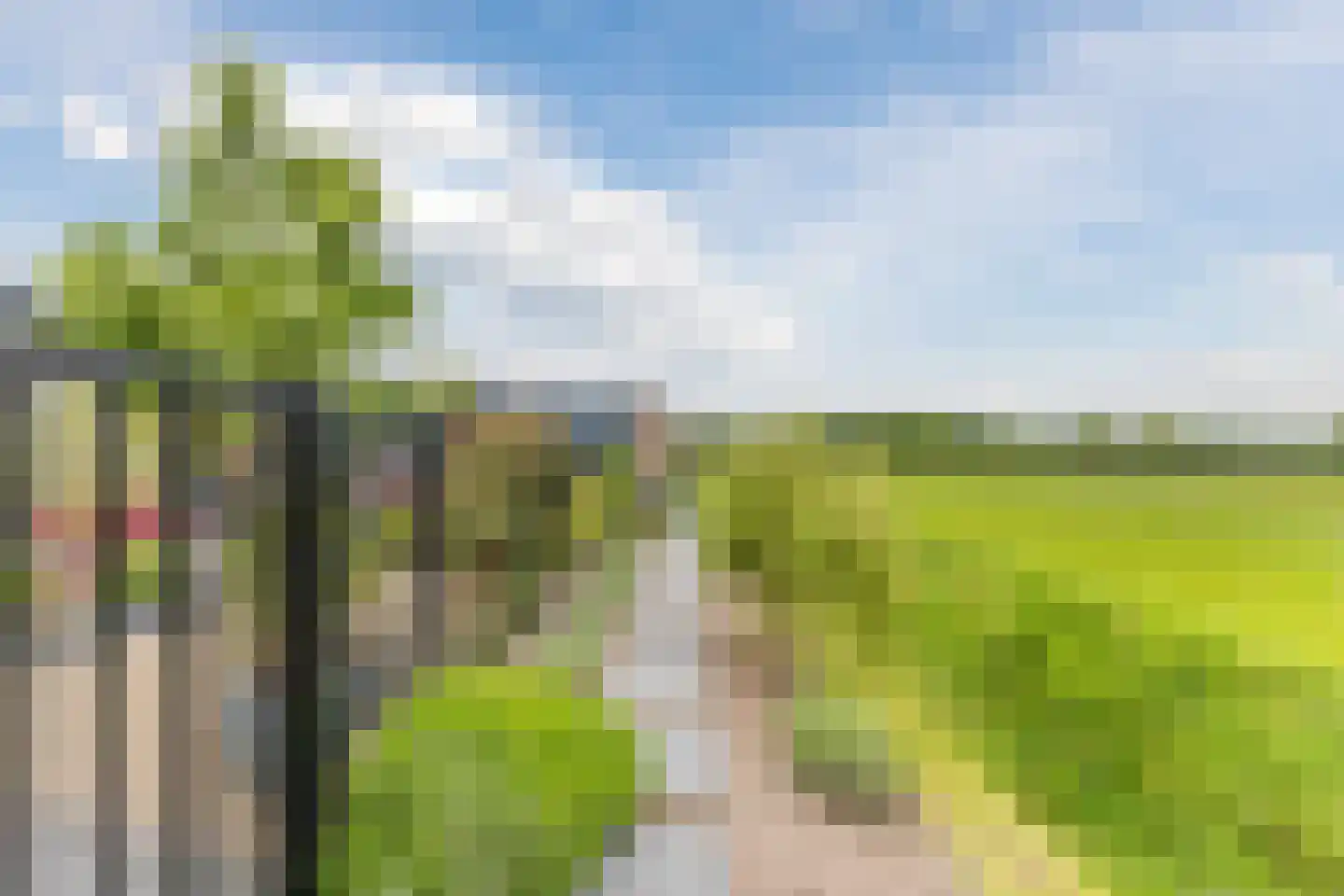 Heezerenbosch 6 R 24 Heeze thumbnail 30