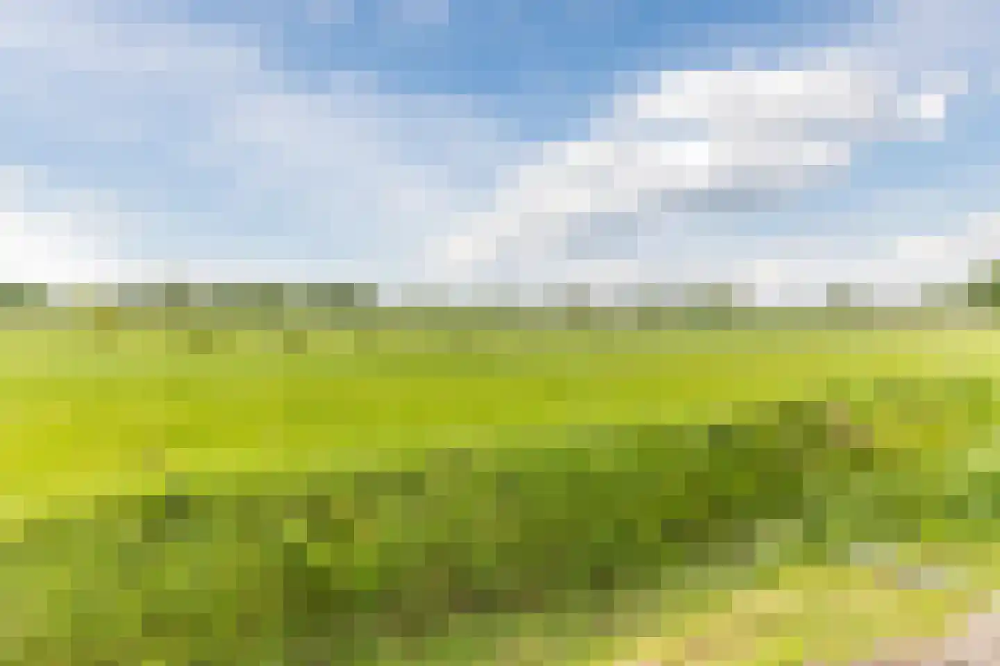Heezerenbosch 6 R 24 Heeze thumbnail 31