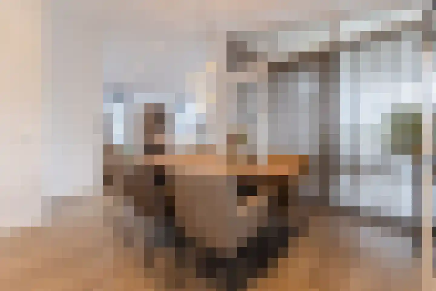 Heezerenbosch 6 R 24 Heeze thumbnail 8