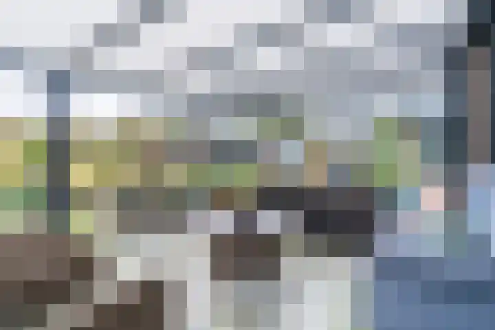 Heezerenbosch 6 R 35 Heeze thumbnail 23