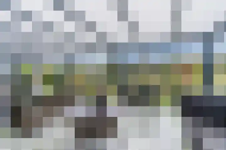 Heezerenbosch 6 R 35 Heeze thumbnail 25