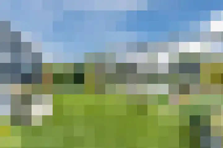 Heezerenbosch 6 R 35 Heeze thumbnail 27
