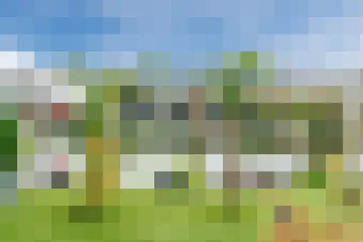 Heezerenbosch 6 R 35 Heeze thumbnail 28