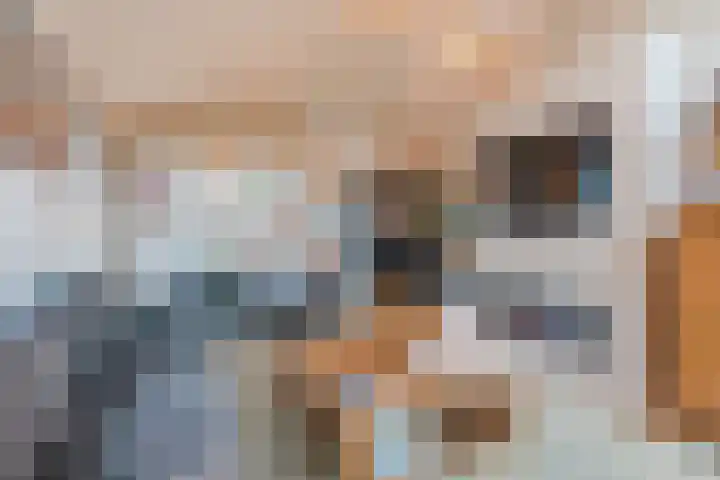 Heezerenbosch 6 R 35 Heeze thumbnail 7