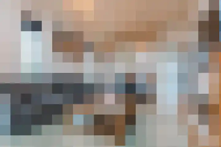 Heezerenbosch 6 R 35 Heeze thumbnail 8