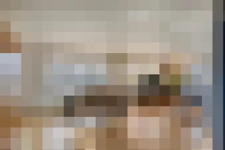 Heezerenbosch 6 R 954 Heeze thumbnail 13