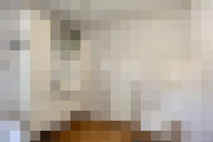 Heezerenbosch 6 R 954 Heeze thumbnail 19