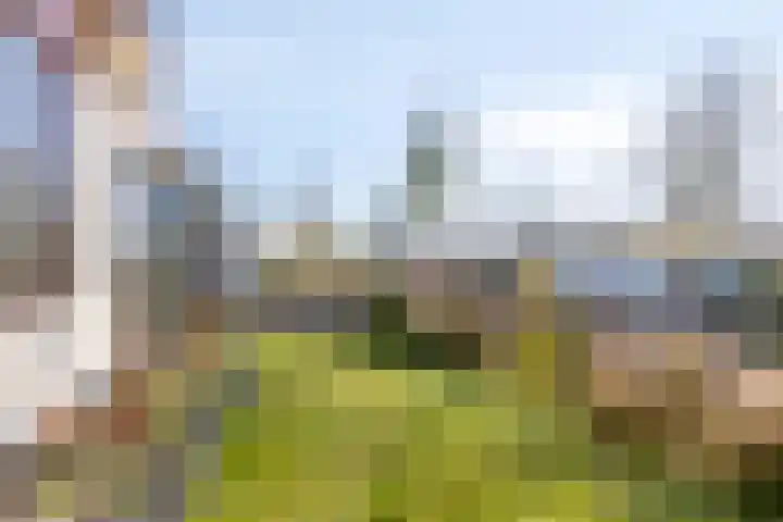 Heezerenbosch 6 R 954 Heeze thumbnail 23