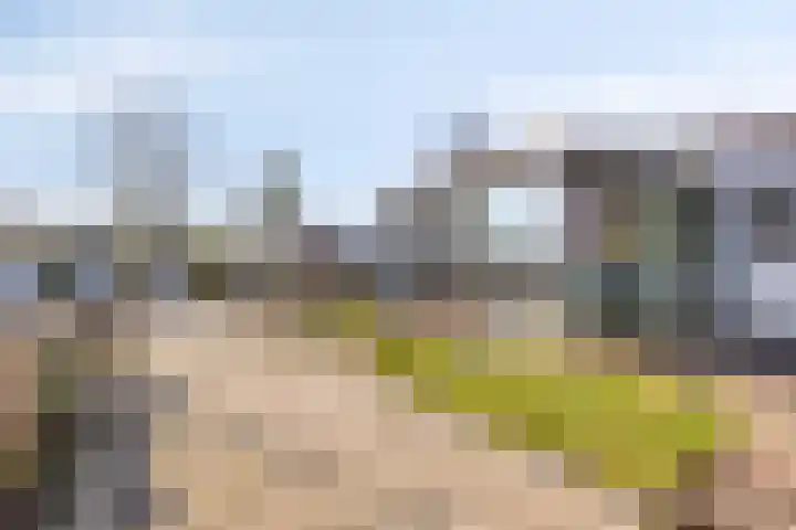 Heezerenbosch 6 R 954 Heeze thumbnail 25