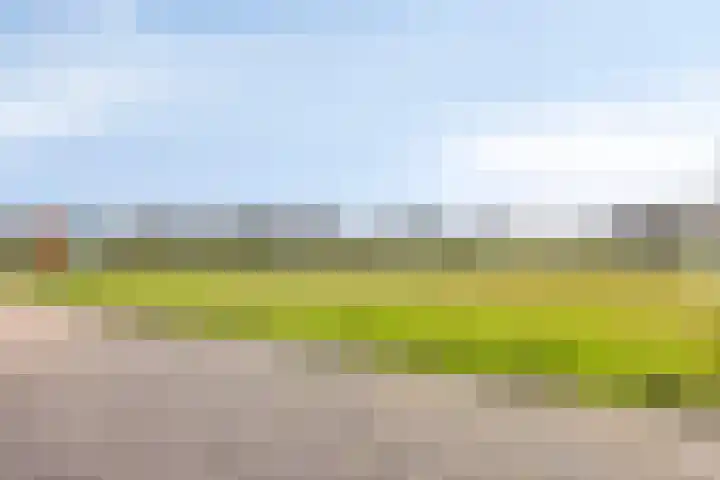 Heezerenbosch 6 R 954 Heeze thumbnail 29