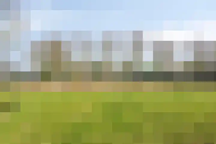 Heezerenbosch 6 R 954 Heeze thumbnail 31