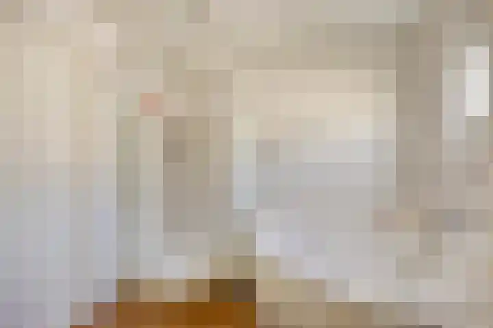Heezerenbosch 6 R 954 Heeze thumbnail 4