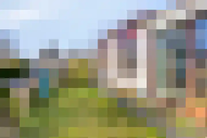 Heezerenbosch 6 R 954 Heeze thumbnail 6