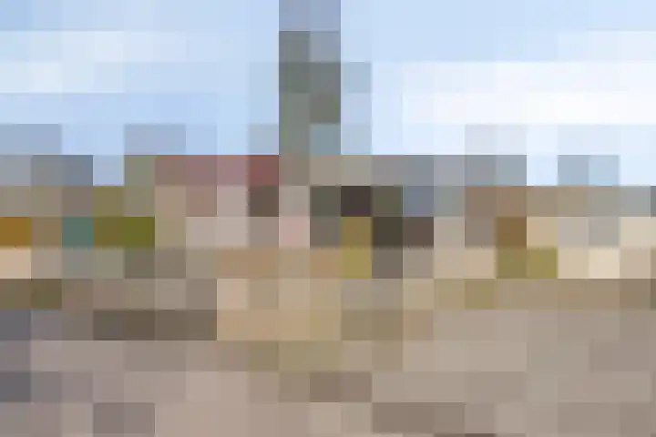 Heezerenbosch 6 R 954 Heeze thumbnail 7