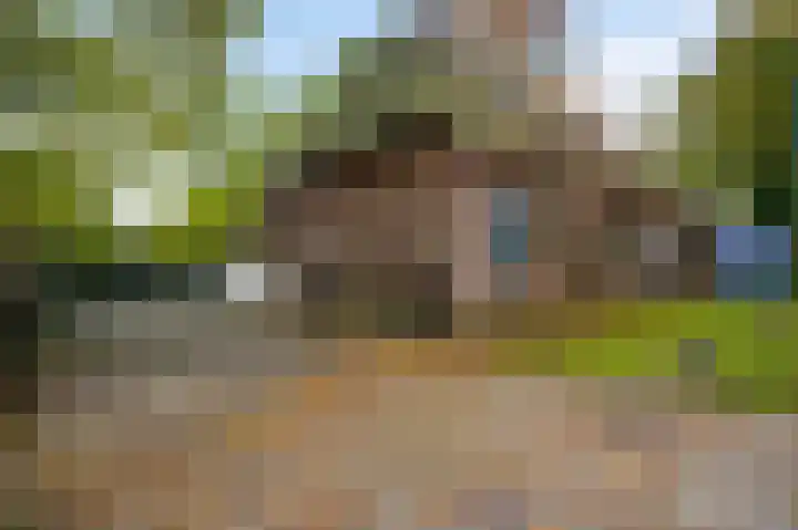 Heezerenbosch 8 Heeze thumbnail 11