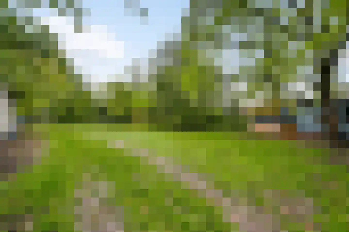 Heezerenbosch 8 Heeze thumbnail 13