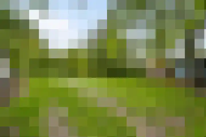 Heezerenbosch 8 Heeze thumbnail 13
