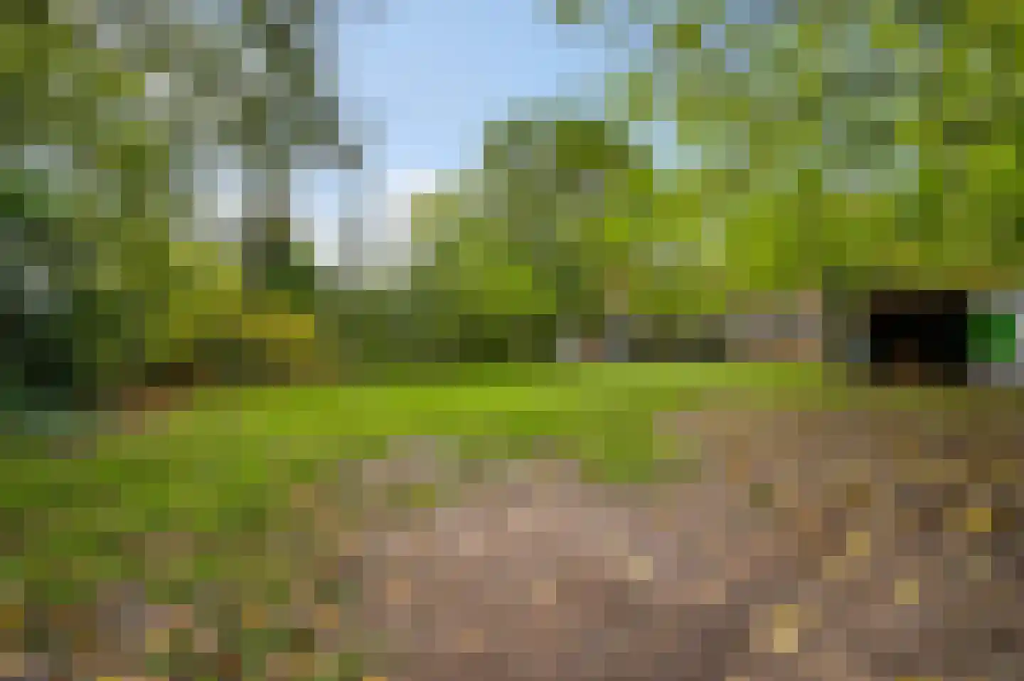 Heezerenbosch 8 Heeze thumbnail 14