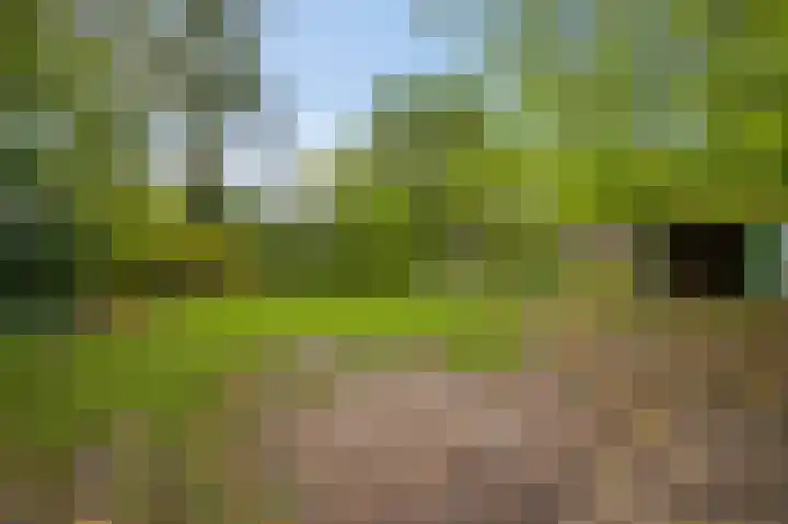 Heezerenbosch 8 Heeze thumbnail 14