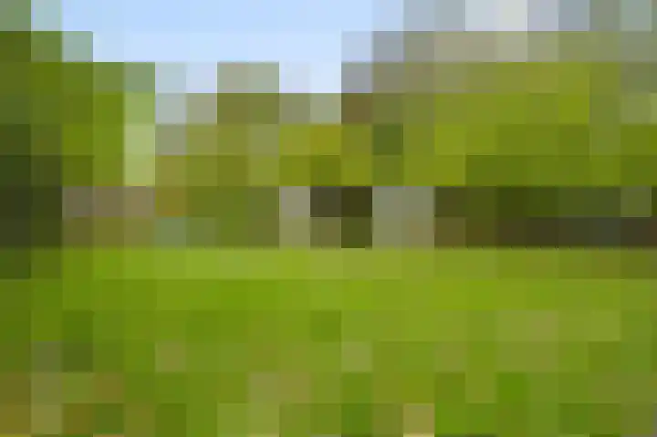 Heezerenbosch 8 Heeze thumbnail 15