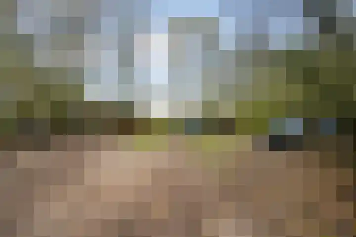 Heezerenbosch 8 Heeze thumbnail 16