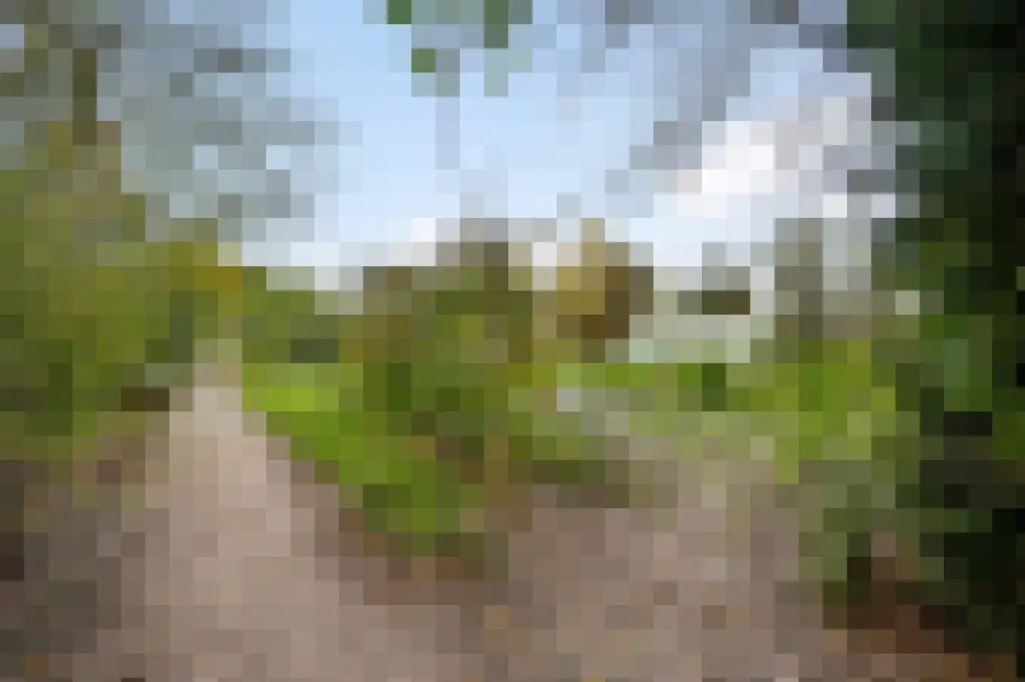 Heezerenbosch 8 Heeze thumbnail 17
