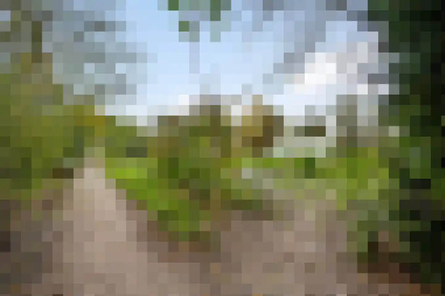 Heezerenbosch 8 Heeze thumbnail 17