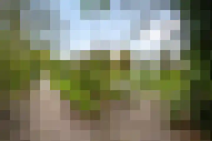 Heezerenbosch 8 Heeze thumbnail 17