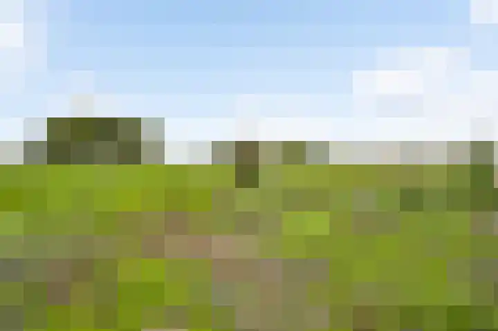Heezerenbosch 8 Heeze thumbnail 18