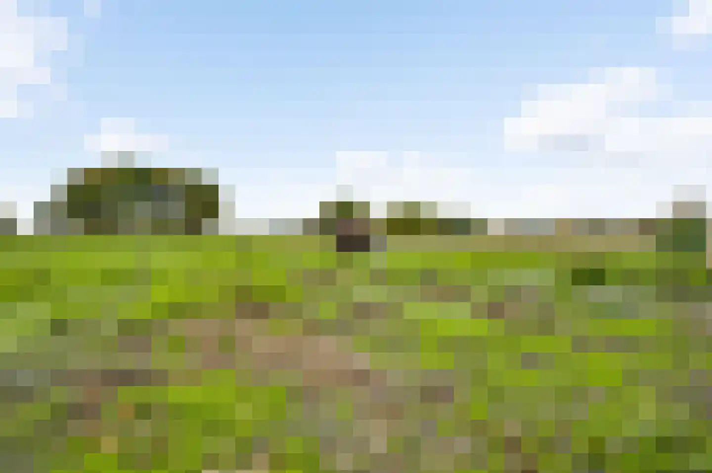 Heezerenbosch 8 Heeze thumbnail 18