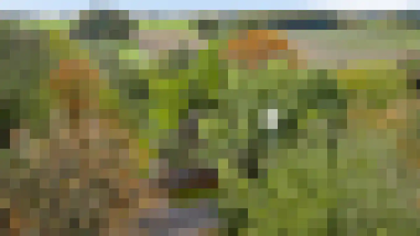 Heezerenbosch 8 Heeze thumbnail 4