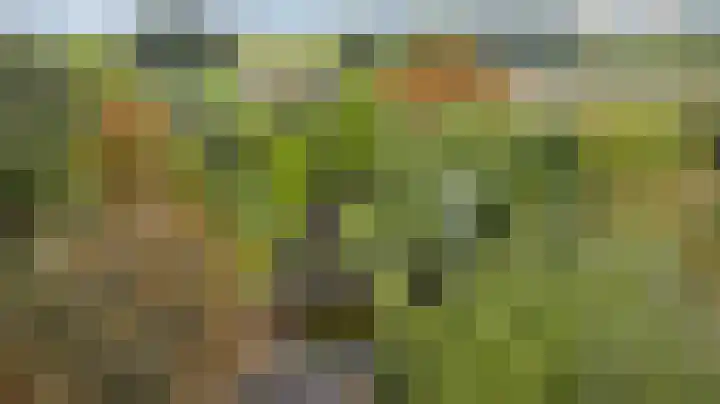 Heezerenbosch 8 Heeze thumbnail 4